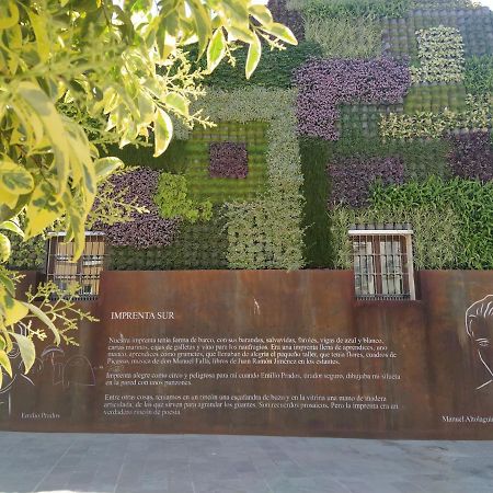Acogedor Y Moderno Estudio En Capuchinos Málaga Eksteriør bilde